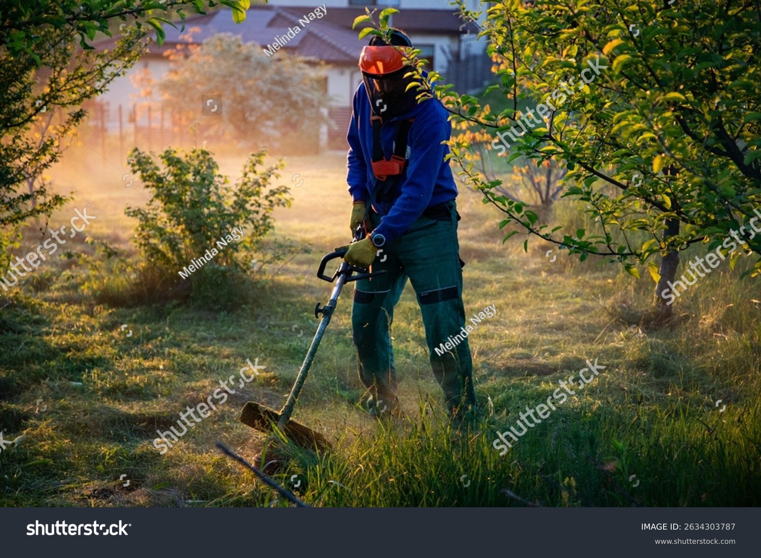 Chantier, Fauchage