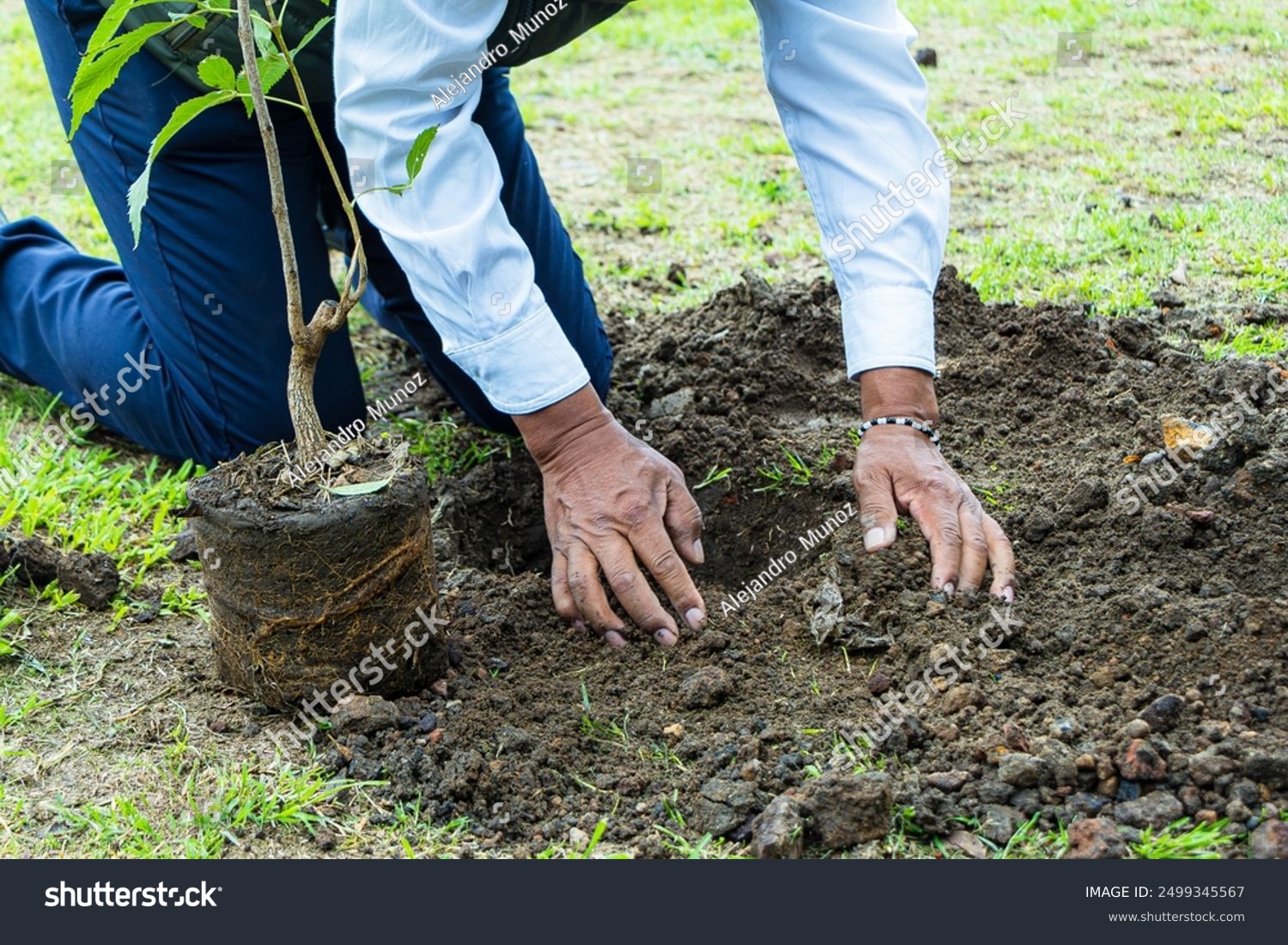 Chantier, Reboisement en milieu non forestier