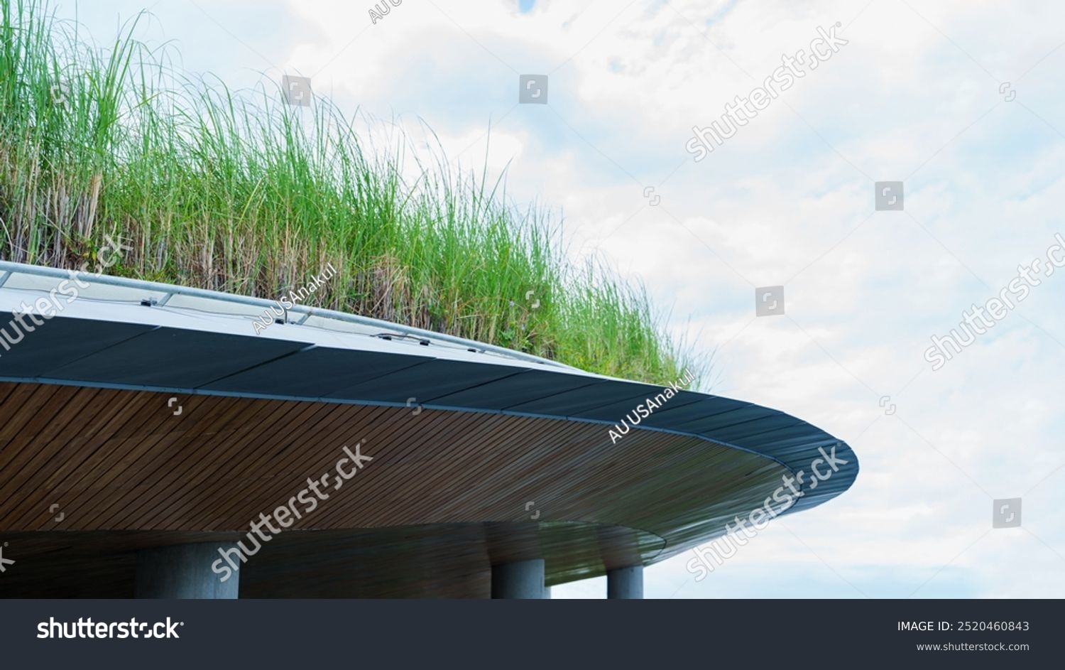 Chantier, Végétalisation du bâti